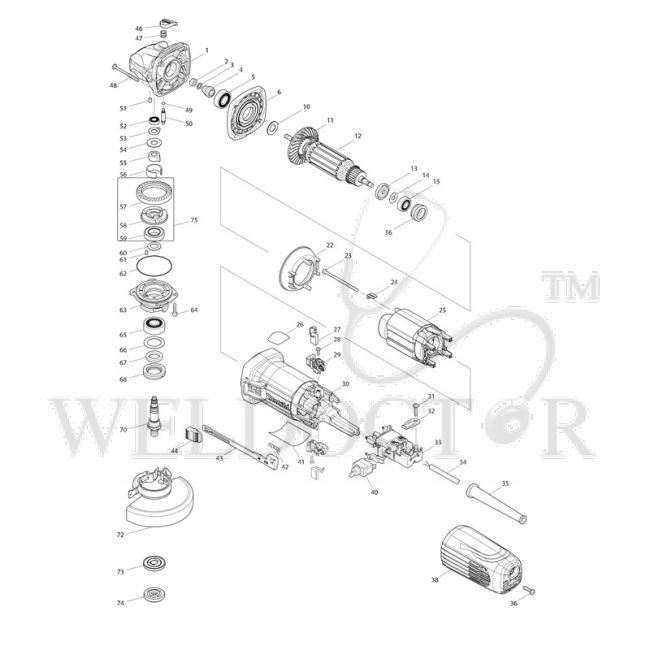 main product photo