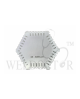 Hexagonal Wet Film Combs