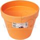 BABA CANDY COLLECTION POT 170MM