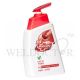 LIFEBUOY ANTI-BACTERIAL HANDWASH – 450ML