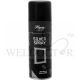 HAGERTY SILVER SPRAY 200ML - A116038
