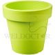 PROSPERPLAST LOFLY POT 245X225MM