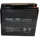 POWER-GEN LEAD ACID BATTERY (12V - 45.0AH) 196LX165WX170H (MM)