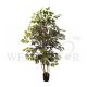 FICUS PLANT TREE (SMALL LEAVES) [FAKE]