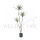 YUCCA TREE 1.5M (THIN LEAVES) [FAKE]