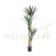 YUCCA TREE 1.7M (THICK LEAVES) [FAKE]