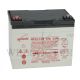 GENESIS LEAD ACID BATTERY NP33-12 ( 12V - 33.0AH) 197LX131WX158H (MM)