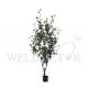 EUCALYPTUS PLANT 1.8M [FAKE]