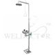 TERYSAFE SS-S250 STAINLESS STEEL SAFETY SHOWER & EYE WASH