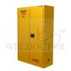 SAFETYSTAR FLAMMABLE CABINET 2 DR 45G M2045Y
