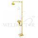 TERYSAFE S350 EPOXY COATING SAFETY SHOWER & EYE WASH
