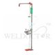 HUGHES COMBINATION SAFETY SHOWER AND EYE/FACE WASH H-D5017