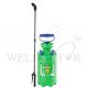 DIMARTINO PRESSURE SPRAYER MARY 5