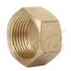 SHOWY FEMALE SCREW CAP 1/2" 5196