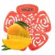 SUPERSTEAM WALEX URINAL SCREEN - MANGO