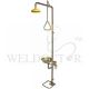 SPEAKMAN COMBINATION SS SHOWER C/W EYE WASH STATION SPMPEM607