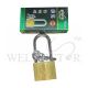 Brass Coated Padlock 50MM *Long*